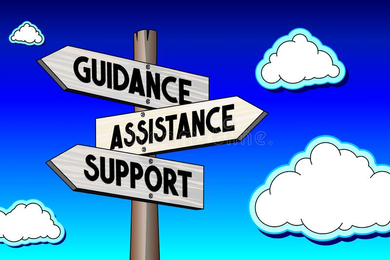professional guidance